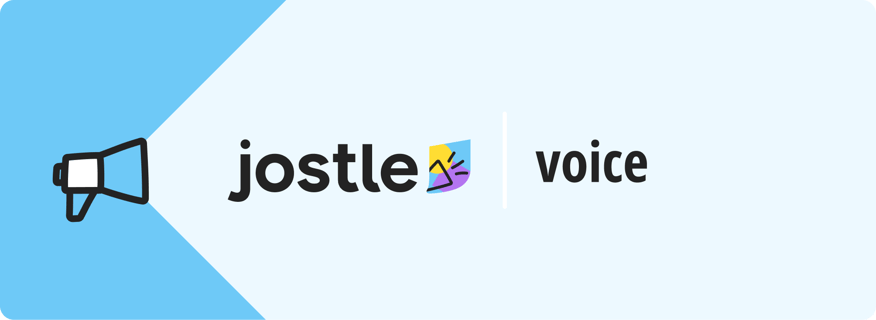 voice-website